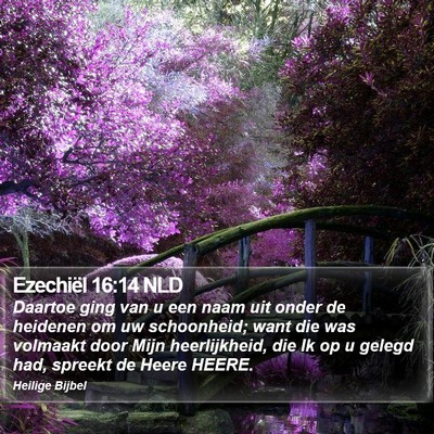 Ezechiël 16:14 NLD Bible Verse Image