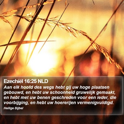 Ezechiël 16:25 NLD Bible Verse Image