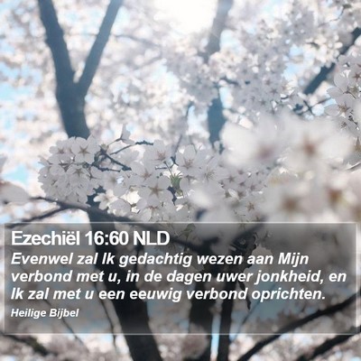 Ezechiël 16:60 NLD Bible Verse Image