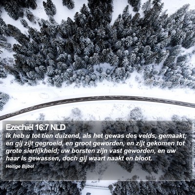Ezechiël 16:7 NLD Bible Verse Image