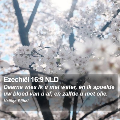 Ezechiël 16:9 NLD Bible Verse Image