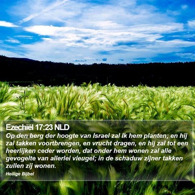 Ezechiël 17:23 NLD Bible Verse Image
