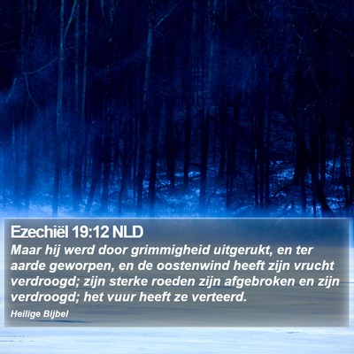 Ezechiël 19:12 NLD Bible Verse Image