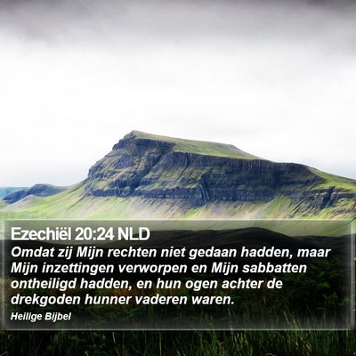 Ezechiël 20:24 NLD Bible Verse Image