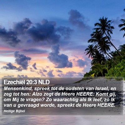 Ezechiël 20:3 NLD Bible Verse Image