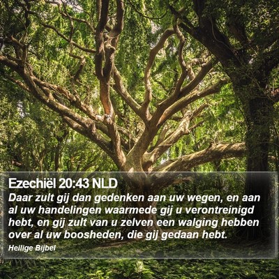 Ezechiël 20:43 NLD Bible Verse Image