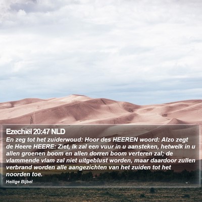 Ezechiël 20:47 NLD Bible Verse Image