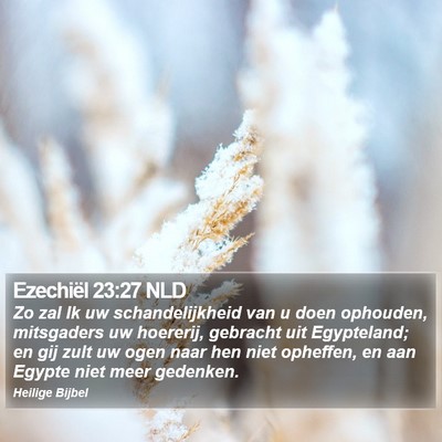 Ezechiël 23:27 NLD Bible Verse Image