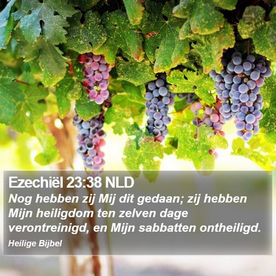 Ezechiël 23:38 NLD Bible Verse Image
