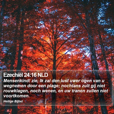 Ezechiël 24:16 NLD Bible Verse Image