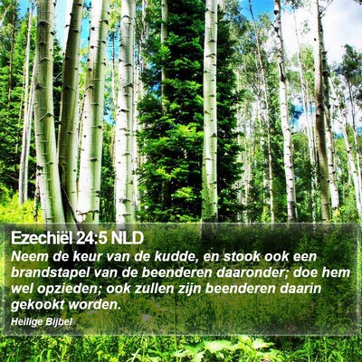 Ezechiël 24:5 NLD Bible Verse Image