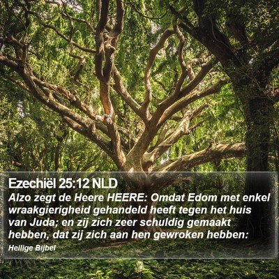 Ezechiël 25:12 NLD Bible Verse Image