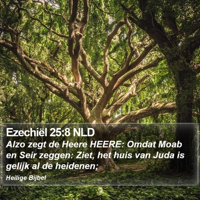 Ezechiël 25:8 NLD Bible Verse Image