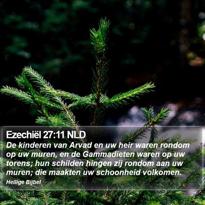 Ezechiël 27:11 NLD Bible Verse Image