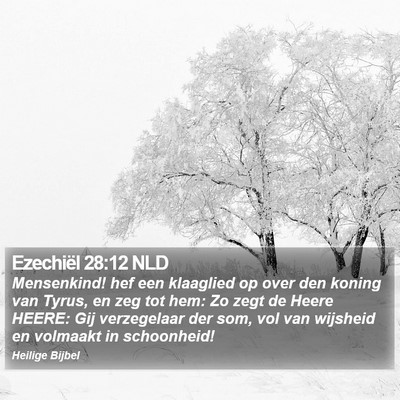 Ezechiël 28:12 NLD Bible Verse Image