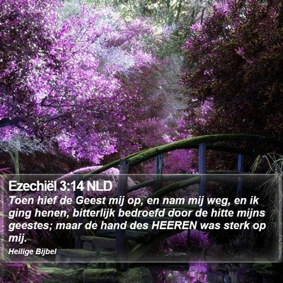 Ezechiël 3:14 NLD Bible Verse Image