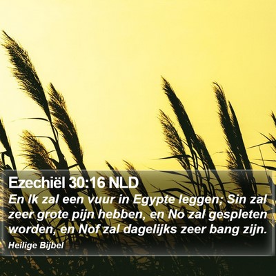 Ezechiël 30:16 NLD Bible Verse Image