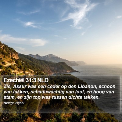 Ezechiël 31:3 NLD Bible Verse Image