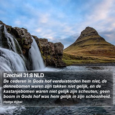Ezechiël 31:8 NLD Bible Verse Image