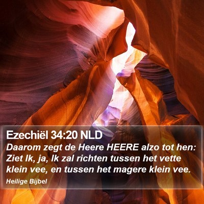 Ezechiël 34:20 NLD Bible Verse Image