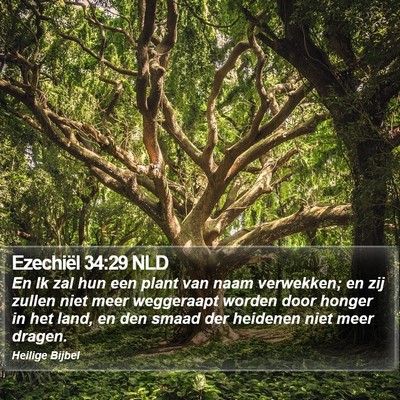 Ezechiël 34:29 NLD Bible Verse Image
