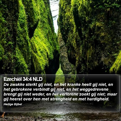 Ezechiël 34:4 NLD Bible Verse Image