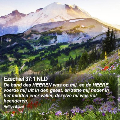 Ezechiël 37:1 NLD Bible Verse Image