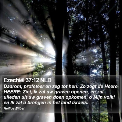 Ezechiël 37:12 NLD Bible Verse Image