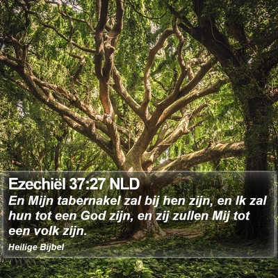 Ezechiël 37:27 NLD Bible Verse Image