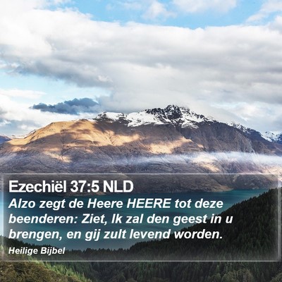 Ezechiël 37:5 NLD Bible Verse Image