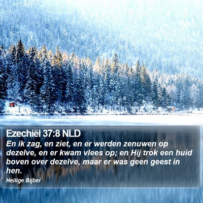 Ezechiël 37:8 NLD Bible Verse Image