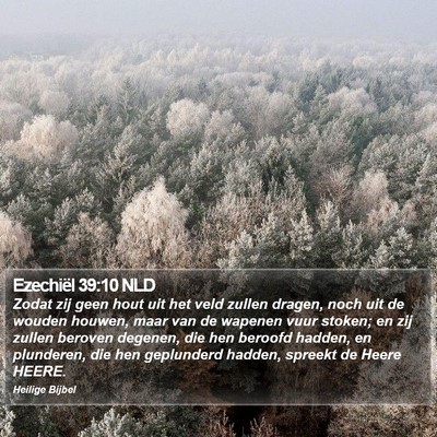 Ezechiël 39:10 NLD Bible Verse Image