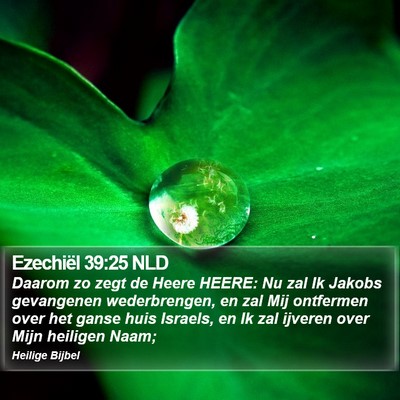 Ezechiël 39:25 NLD Bible Verse Image