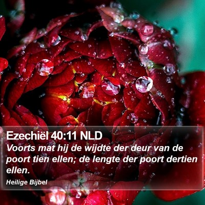Ezechiël 40:11 NLD Bible Verse Image
