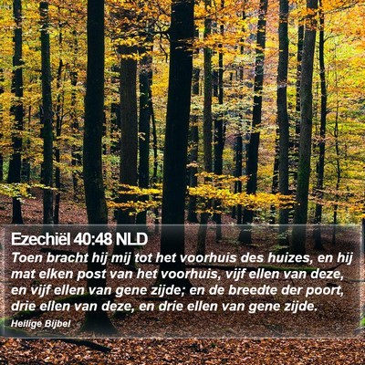 Ezechiël 40:48 NLD Bible Verse Image