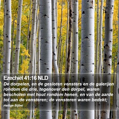 Ezechiël 41:16 NLD Bible Verse Image
