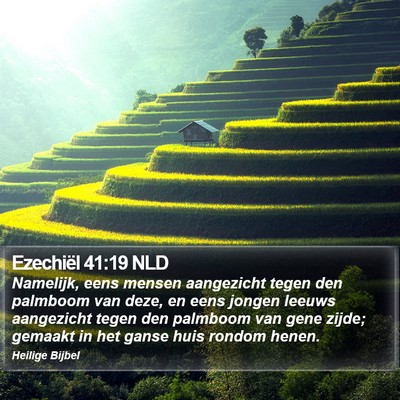 Ezechiël 41:19 NLD Bible Verse Image