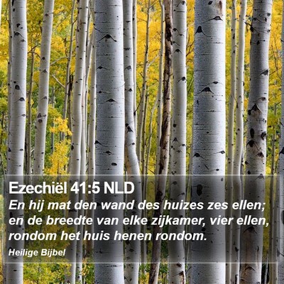 Ezechiël 41:5 NLD Bible Verse Image