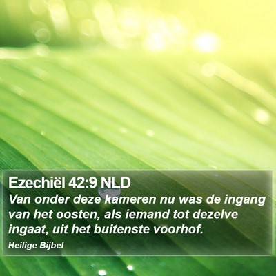 Ezechiël 42:9 NLD Bible Verse Image
