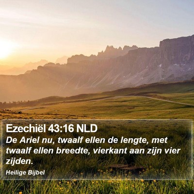 Ezechiël 43:16 NLD Bible Verse Image