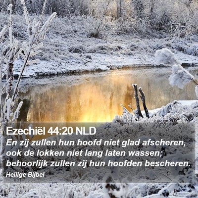 Ezechiël 44:20 NLD Bible Verse Image