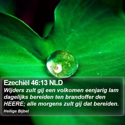 Ezechiël 46:13 NLD Bible Verse Image