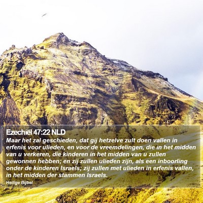 Ezechiël 47:22 NLD Bible Verse Image