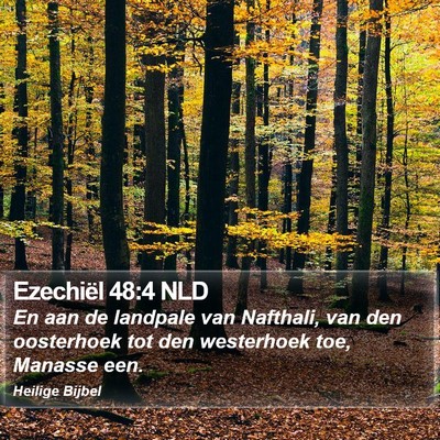 Ezechiël 48:4 NLD Bible Verse Image