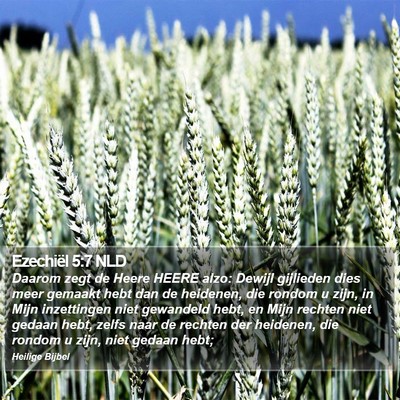 Ezechiël 5:7 NLD Bible Verse Image