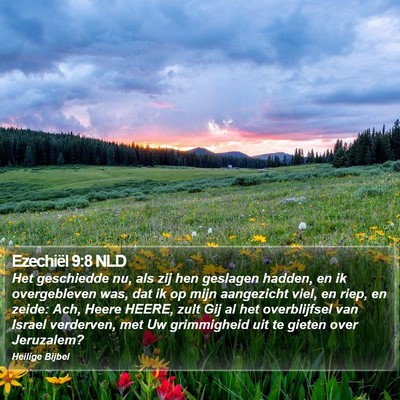 Ezechiël 9:8 NLD Bible Verse Image