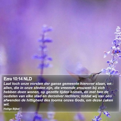 Ezra 10:14 NLD Bible Verse Image