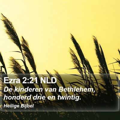 Ezra 2:21 NLD Bible Verse Image