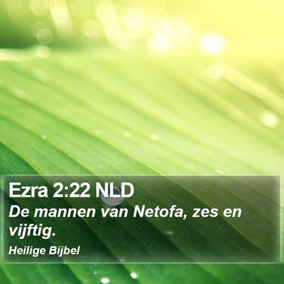 Ezra 2:22 NLD Bible Verse Image