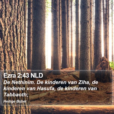 Ezra 2:43 NLD Bible Verse Image